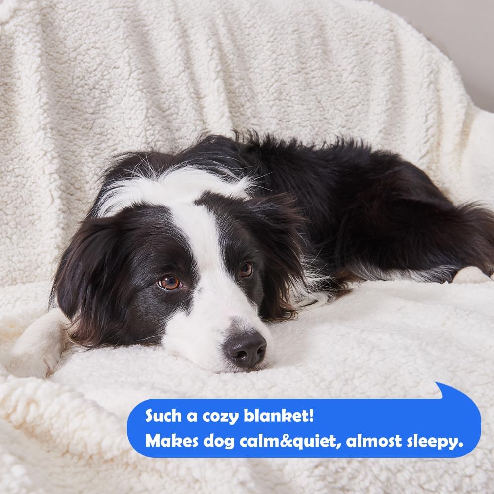 Qeils Waterproof Washable Blankets for Large Dogs