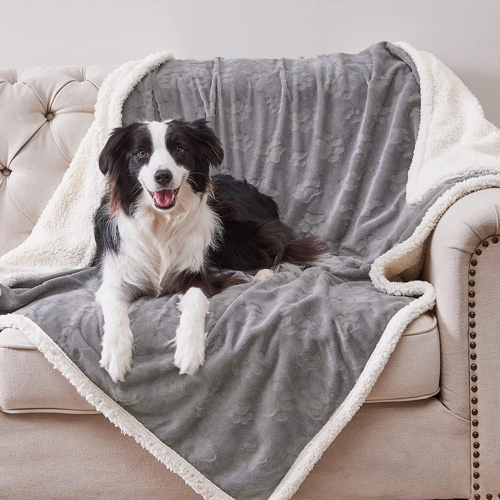 Qeils Waterproof Washable Blankets for Medium Dogs