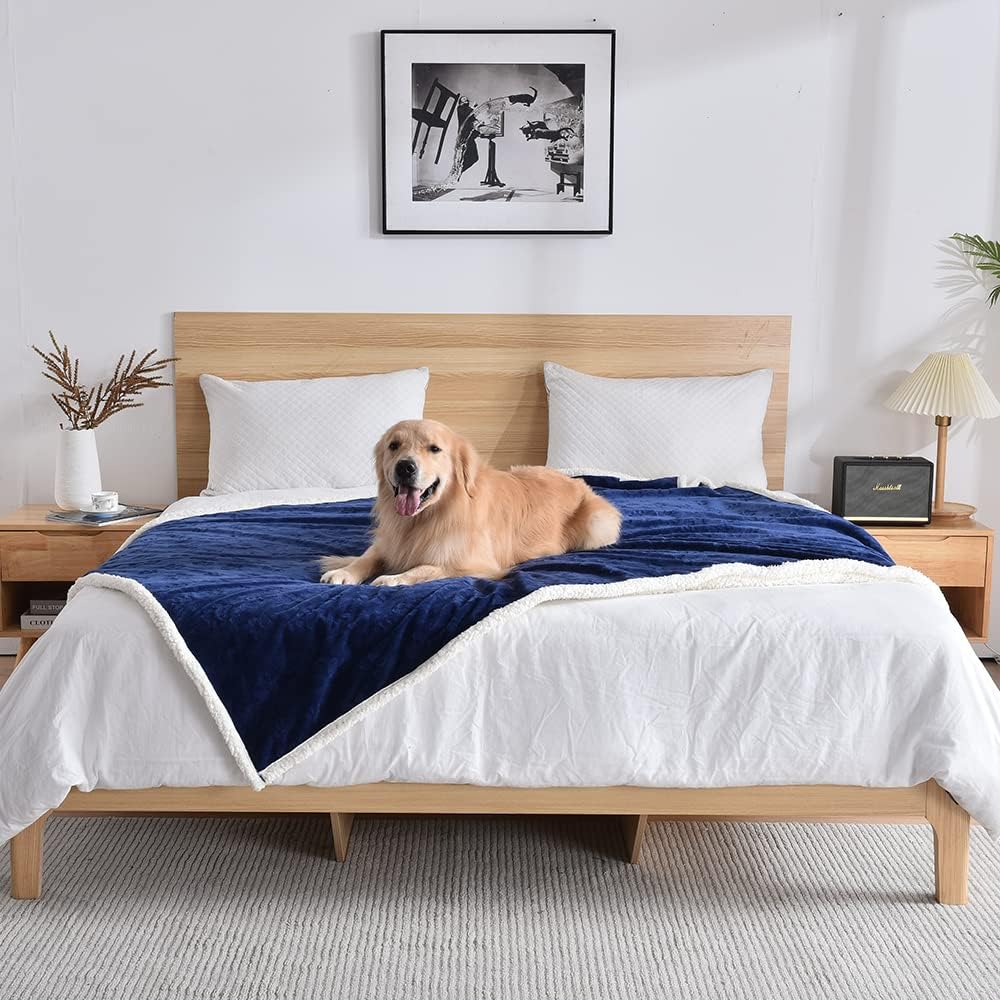 Qeils Waterproof Washable Blankets for Large Dogs