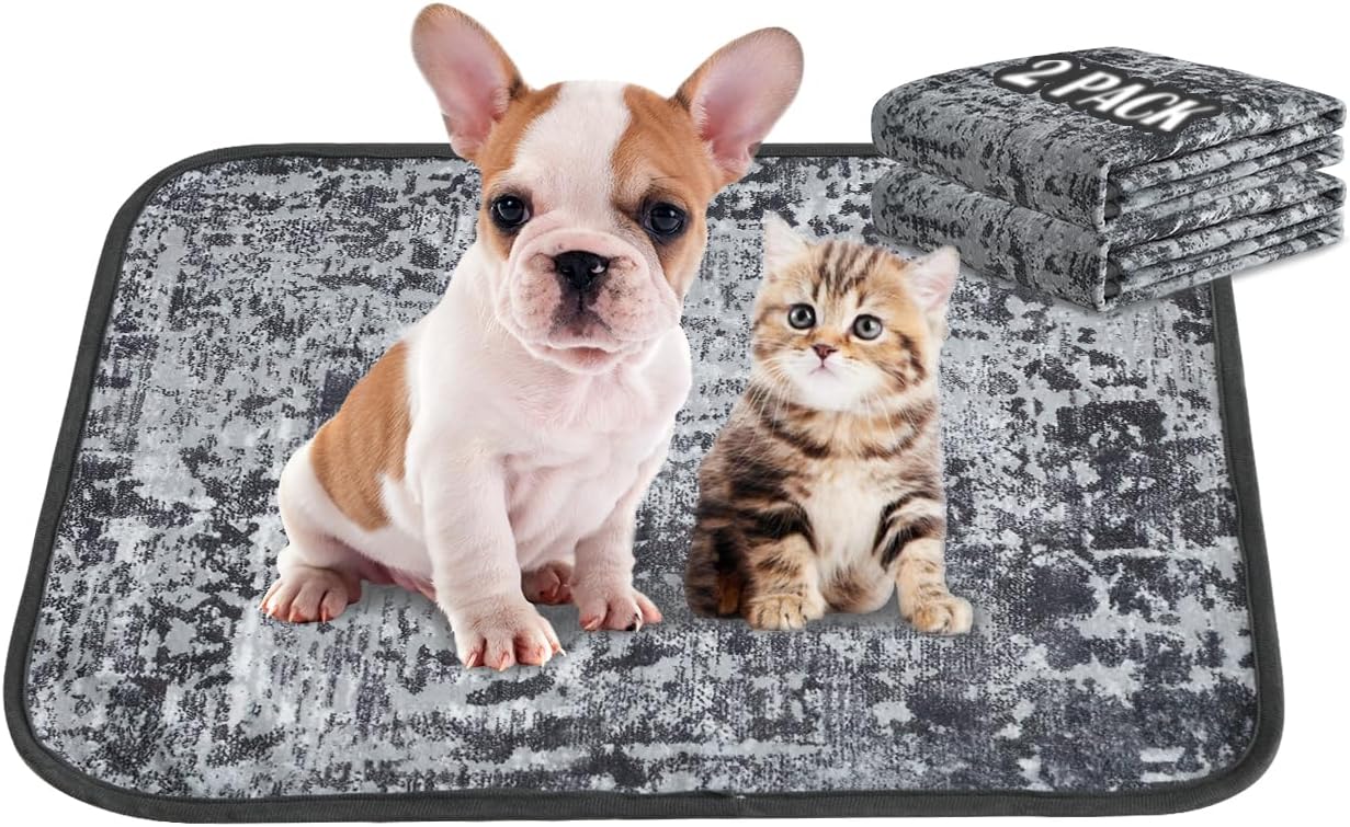 Qeils Super Absorbent and Leak-proof Dog Training Pad