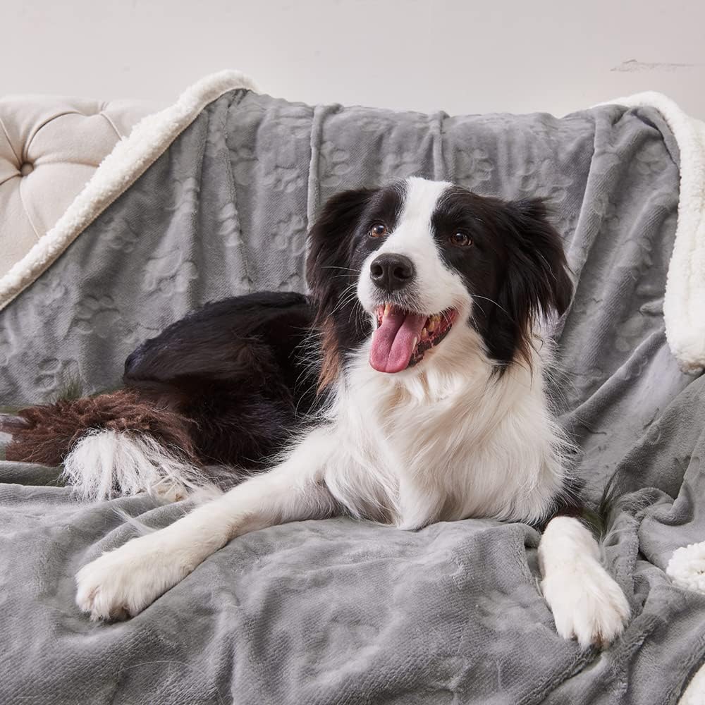 Qeils Waterproof Washable Blankets for Medium Dogs