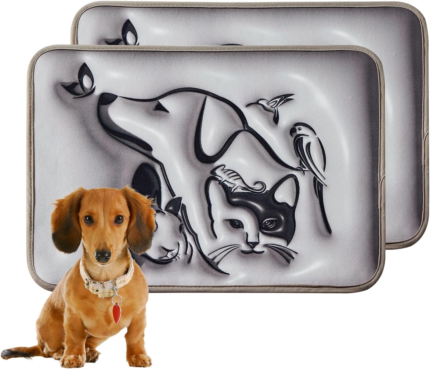 Qeils Washable and Reusable Super Absorbent Dog Urine Pad