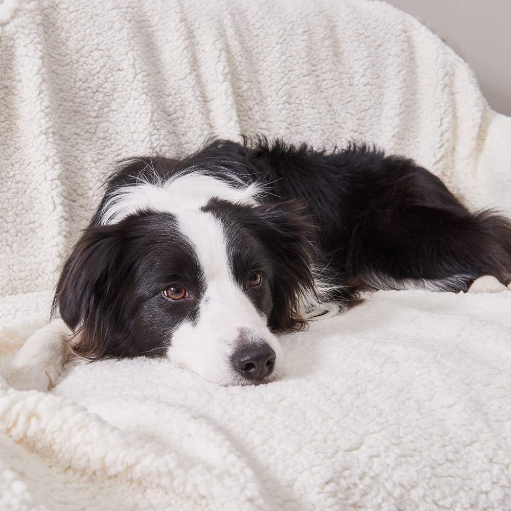 Qeils Waterproof Washable Blankets for Medium Dogs