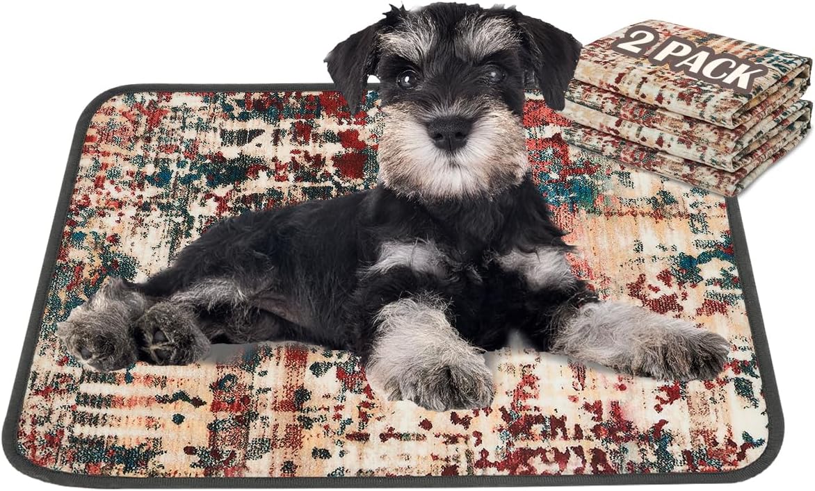 Qeils Super Absorbent and Leak-Proof Dog Training Pad