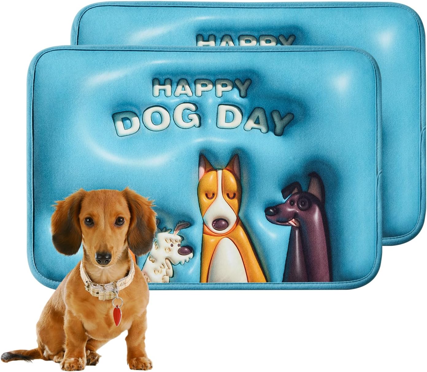 Qeils Washable and Reusable Super Absorbent Dog Urine Pad