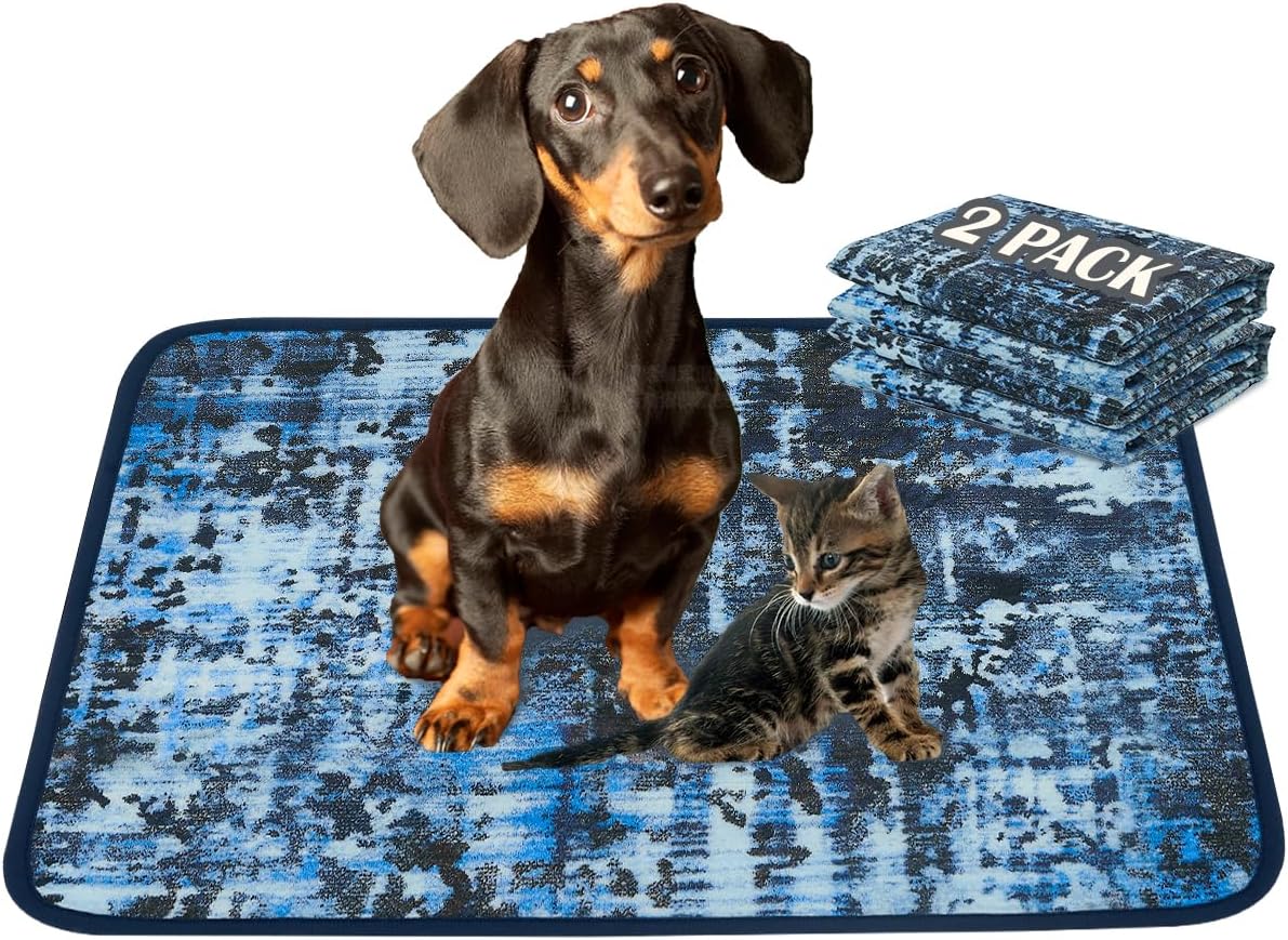 Qeils Super Absorbent and Leak-proof Dog Training Pad