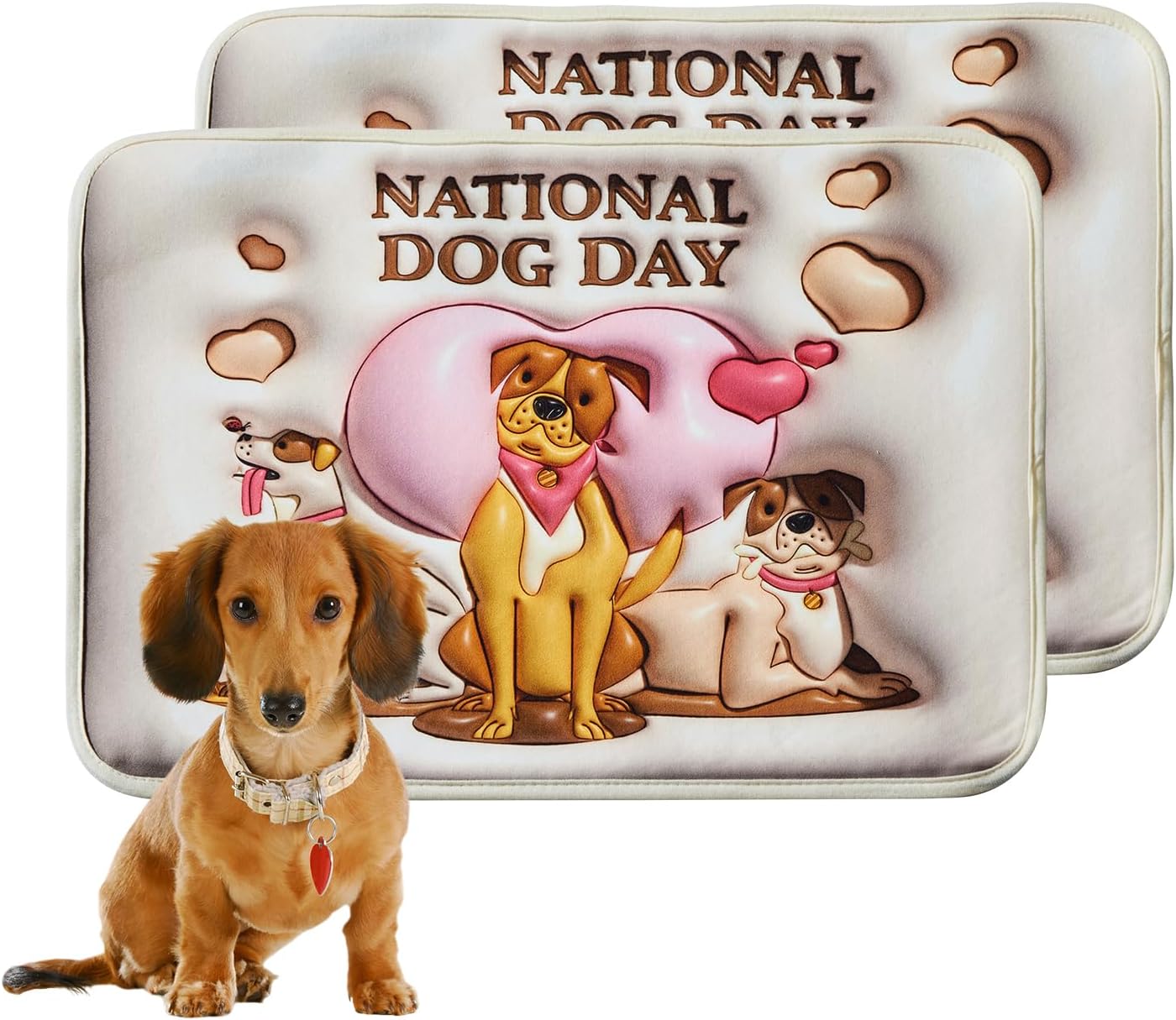 Qeils Washable and Reusable Super Absorbent Dog Urine Pad