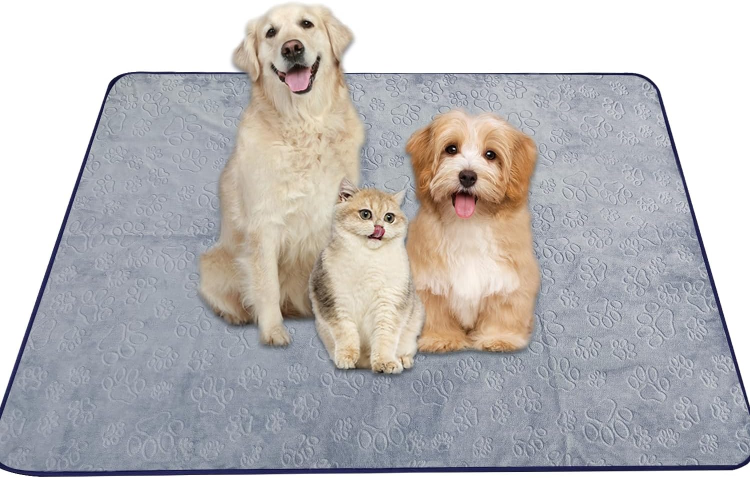 Qeils Non-Slip Washable Dog Urine Pad